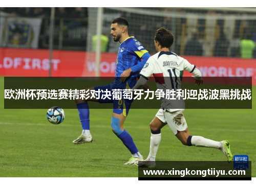 欧洲杯预选赛精彩对决葡萄牙力争胜利迎战波黑挑战