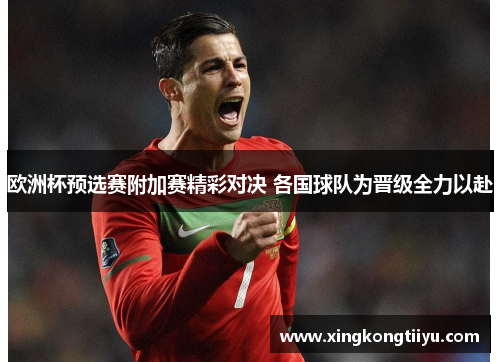 欧洲杯预选赛附加赛精彩对决 各国球队为晋级全力以赴