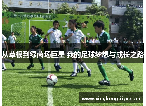 从草根到绿茵场巨星 我的足球梦想与成长之路