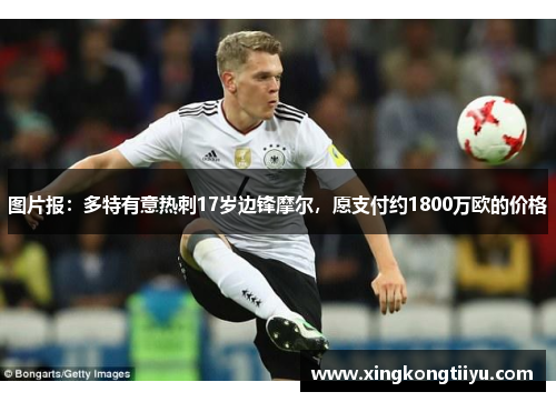 图片报：多特有意热刺17岁边锋摩尔，愿支付约1800万欧的价格